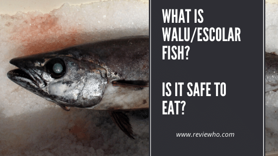 walu fish or escolar