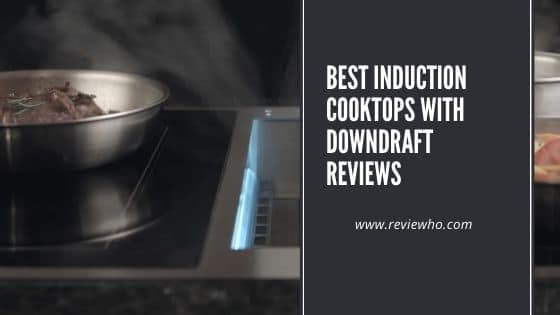 induction range with downdraft