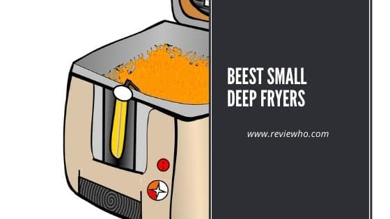 small deep fryers for the home