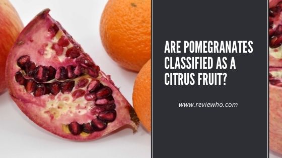 is pomegranate a citrus fruit