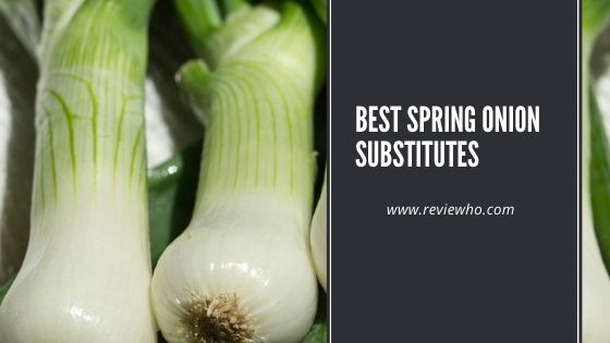 Spring Onion alternative