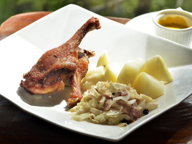 Duck confit with mashed potato side dish