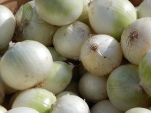 White onions 