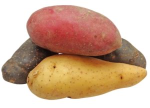 potato kinds