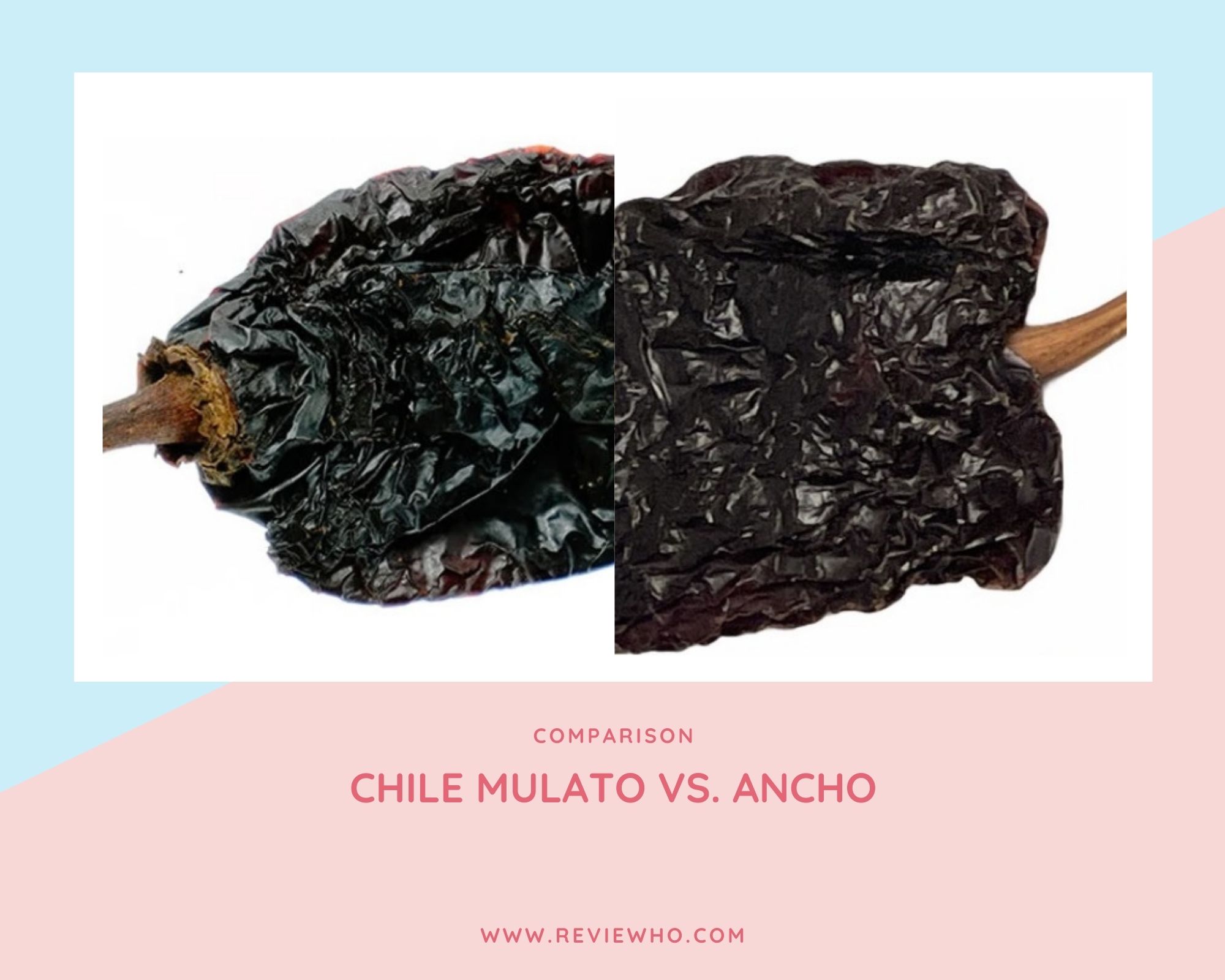 Difference Between Chile Mulato and Ancho