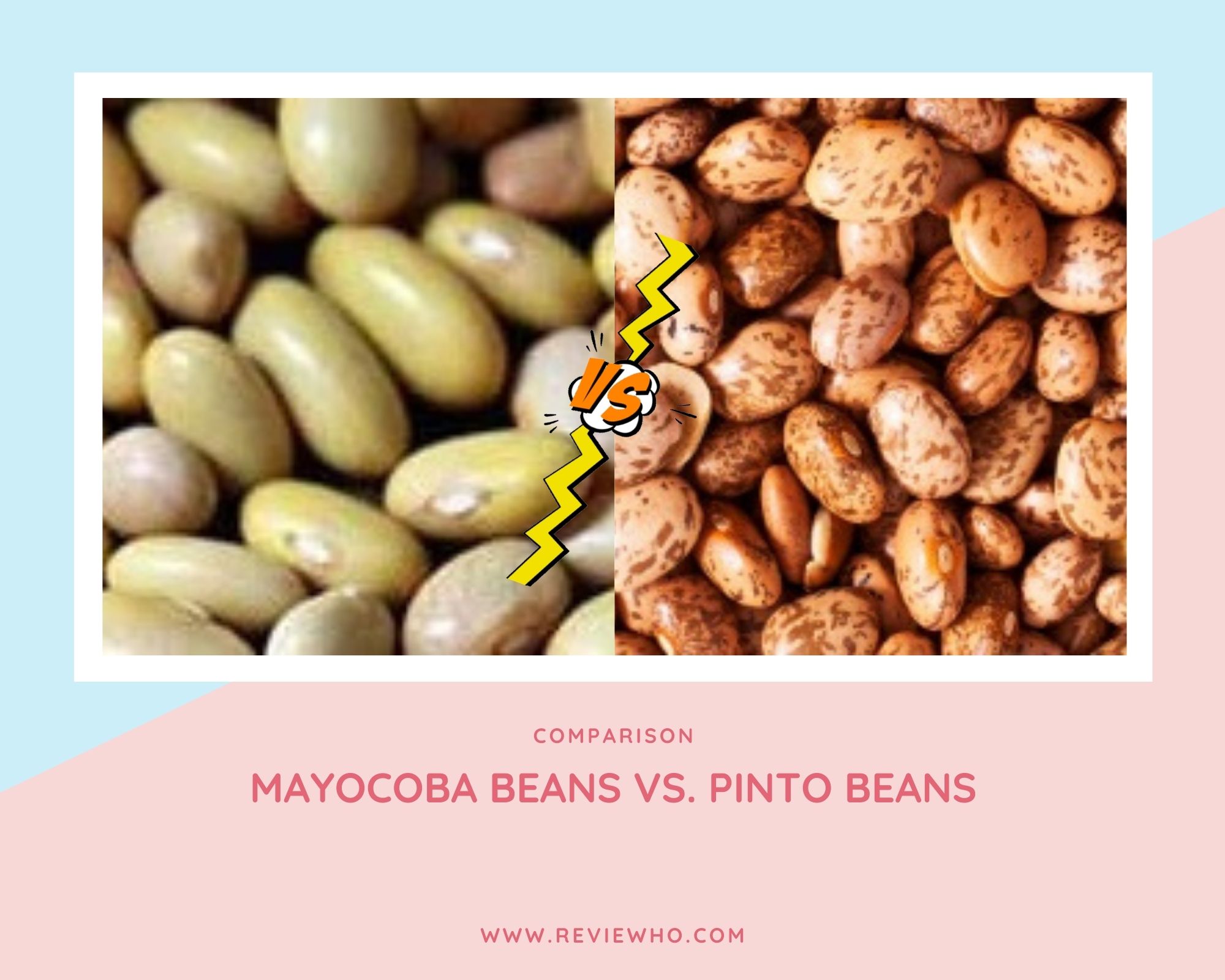 Mayocoba Beans or Pinto Beans