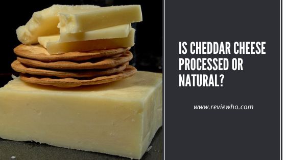 Cheddar Cheese Processed or Natural