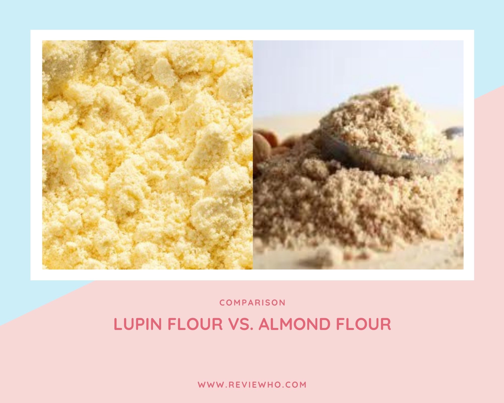 Difference Between Lupin Flour and Almond Flour