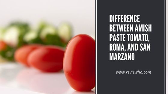 Amish Paste Tomato vs Roma vs San Marzano 1