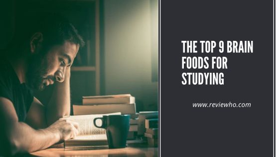 Top 9 Brain Foods for Studying