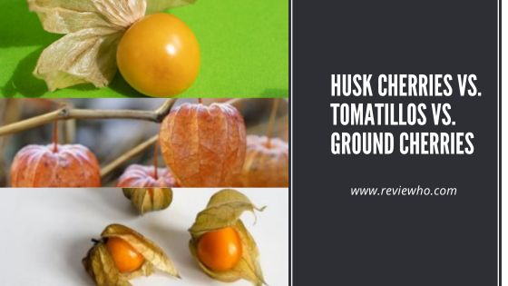 Husk Cherries vs. Tomatillos vs. Ground Cherries