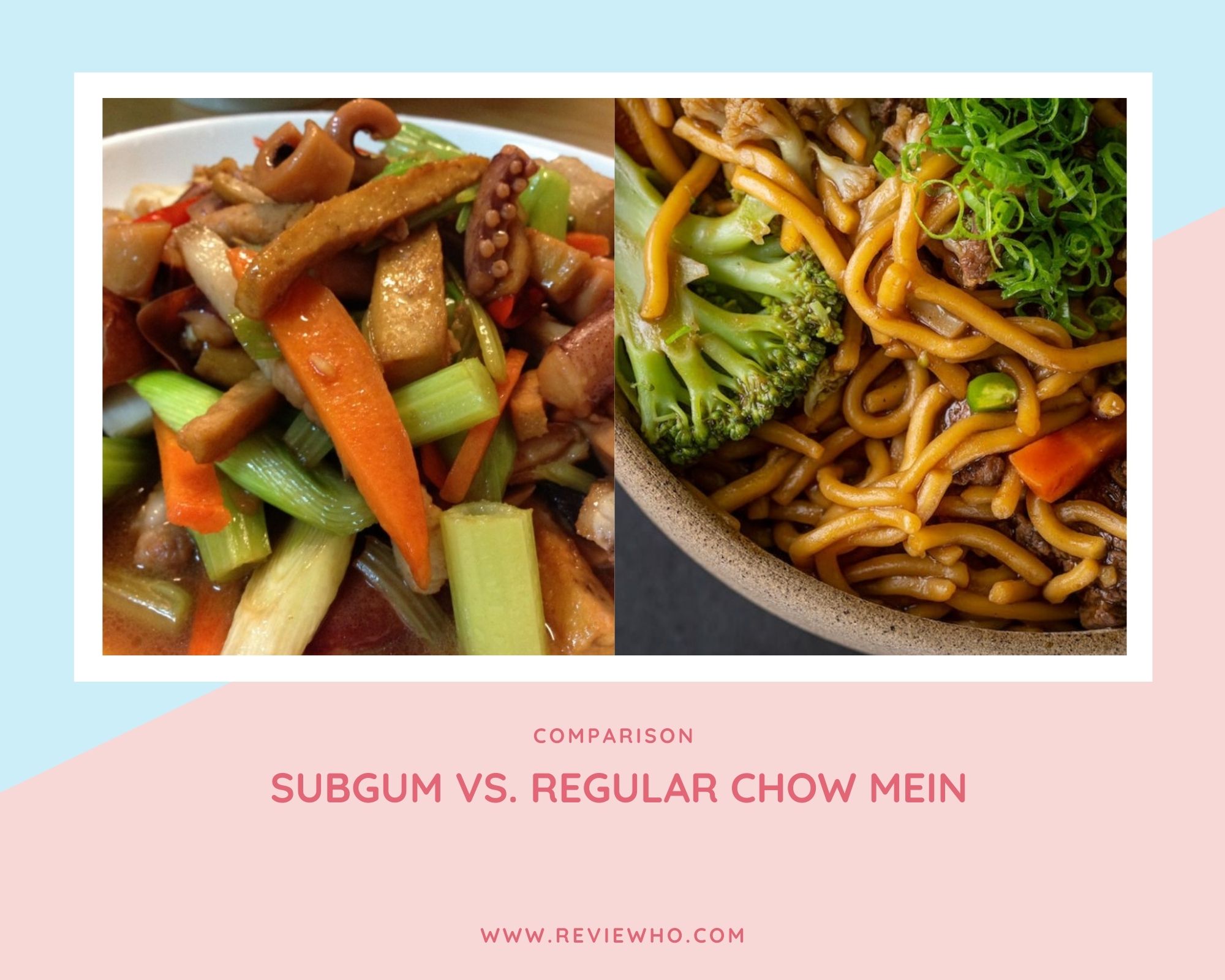 Difference between Subgum and Regular Chow Mein